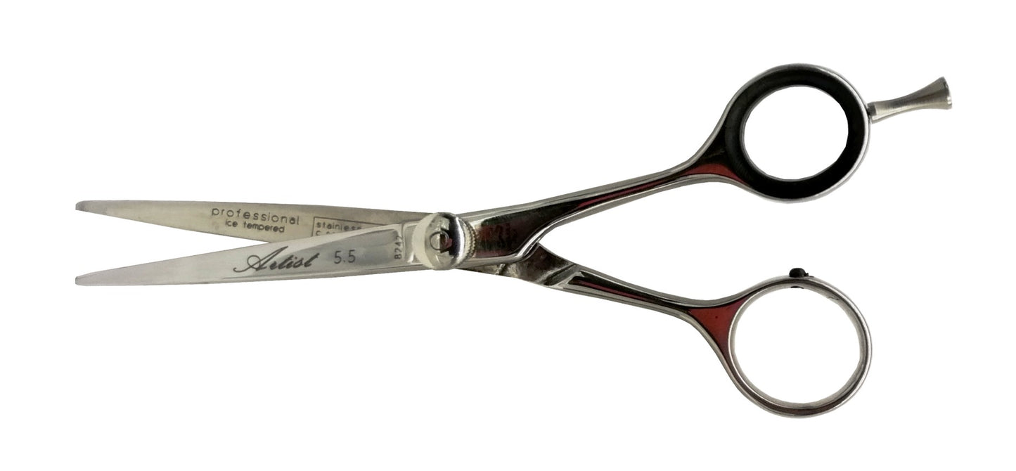Premax forbice Professional Expert 5.5