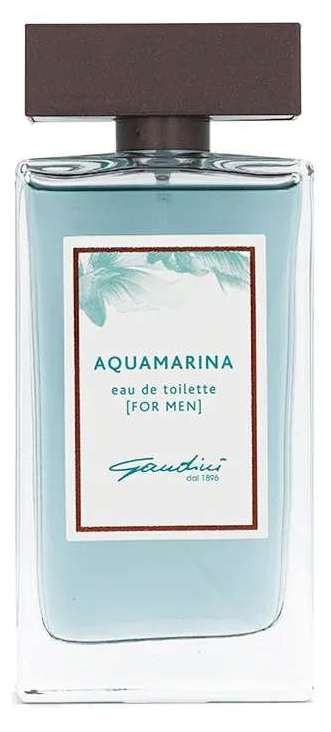 Gandini Aquamarina For Men 100 ml edt. "TESTER ORIGINALI"